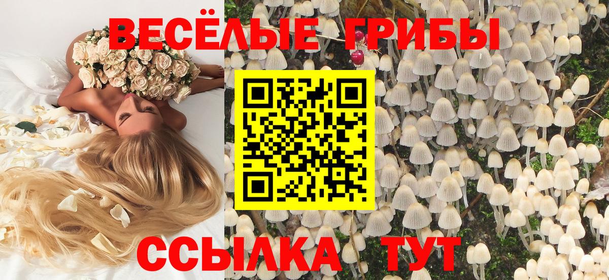 Галлюциногенные грибы MAGIC MUSHROOMS Муравленко