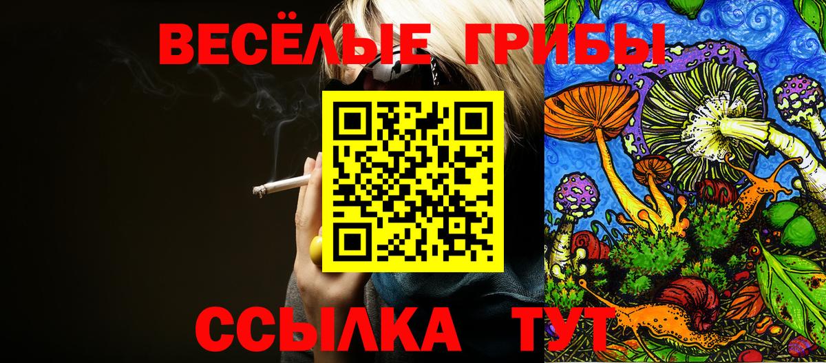 Псилоцибиновые грибы прущие грибы  купить наркотики цена  Вход с VPN  Муравленко  Галлюциногенные грибы GOLDEN TEACHER 